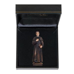Don Bosco with case