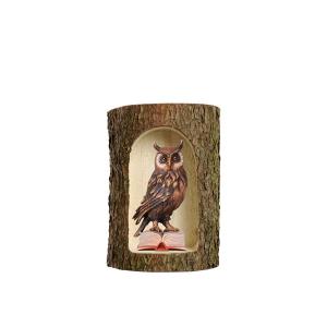 Owl on book in a tree trunk 