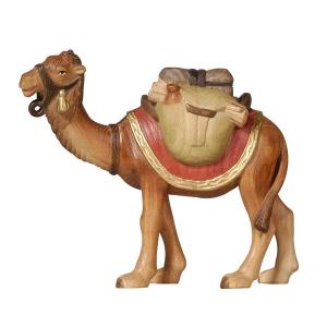 AD Camel with luggage