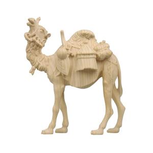 ZI Camello con equipaje