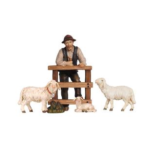 RA Hirt am Zaun mit 2 Schafe
