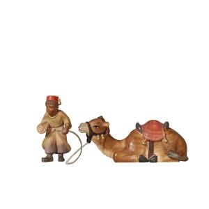 PE Camellero muchacho con camello acostado