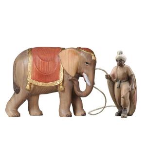 PE Conductor con elefante