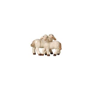 PE Grupo de corderos