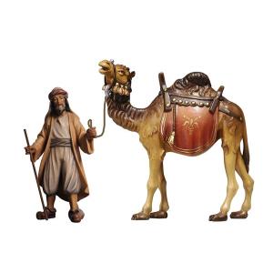KO Treiber mit Kamel