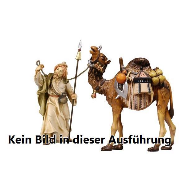 RA Treiber mit Kamel mit Gepäck - 
