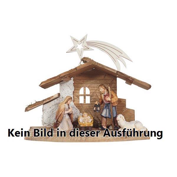 HE Set 5 teilig-Familienstall Tirol mit Kometstern - 