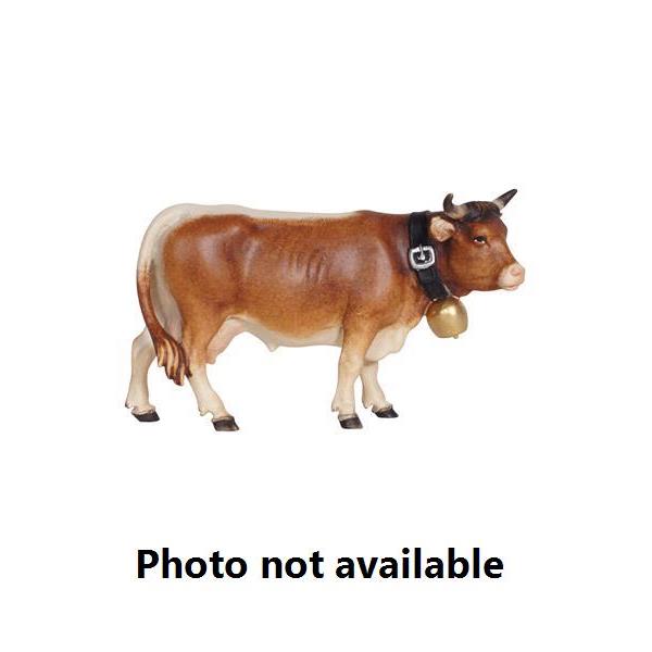 Cow looking right  - 
