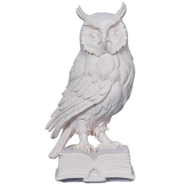 Owl on book - natural wood