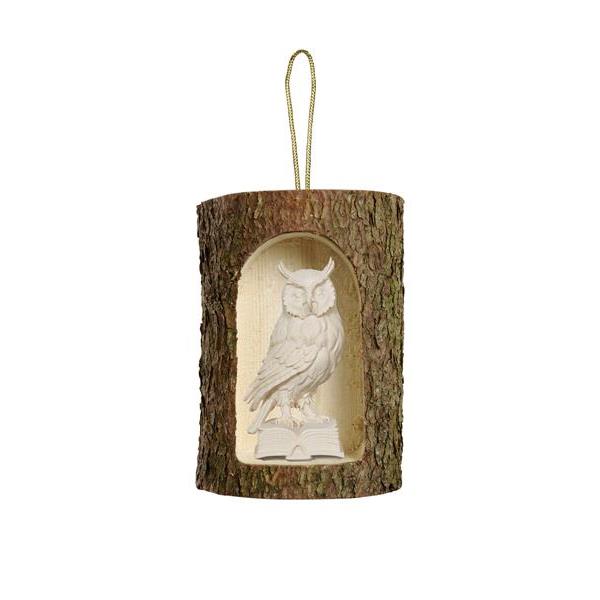 Owl on book in tree trunk hanging - natural wood