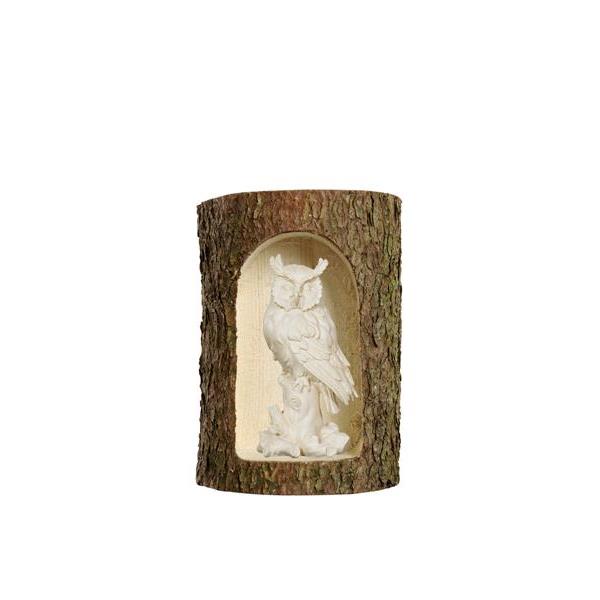Owl on tree trunk in a tree trunk  - natural wood