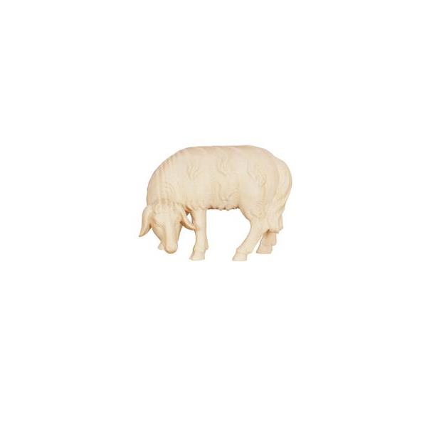 AD Sheep grazing looking left - natural wood