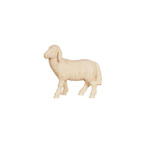 AD Sheep standing looking left - natural wood