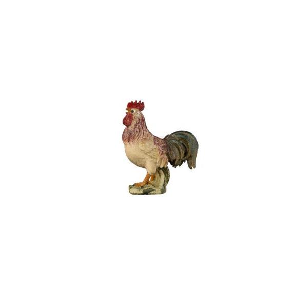 HE Rooster - colored