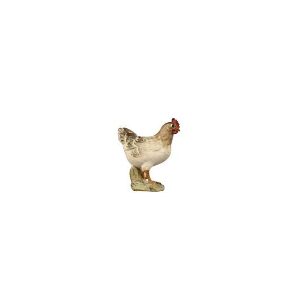 HE Hen standing - colored