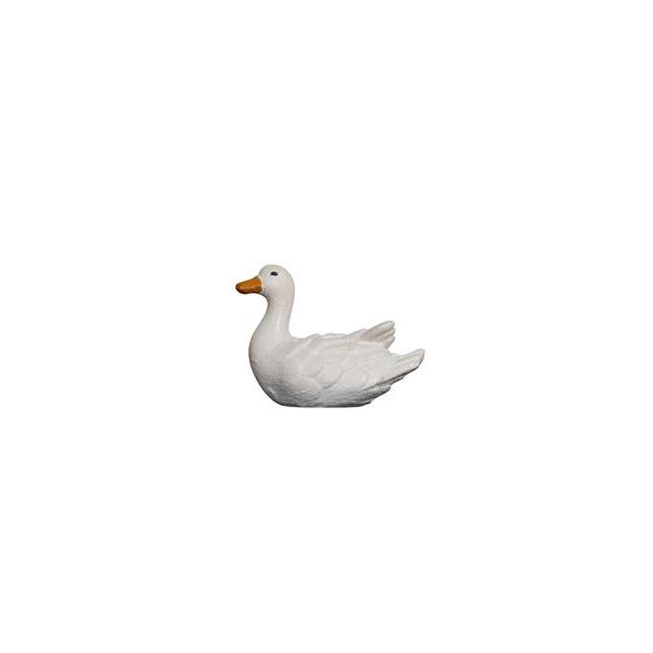 HE Duck swimming left - colored