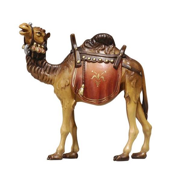 HE Camel - colored
