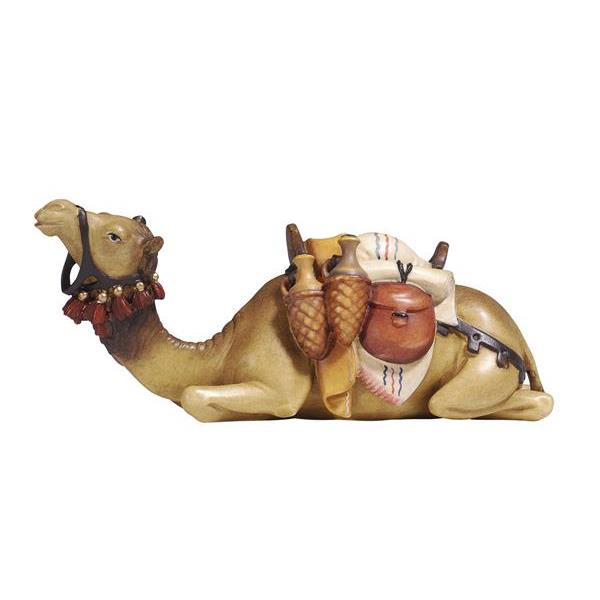 HE Camel lying - colored