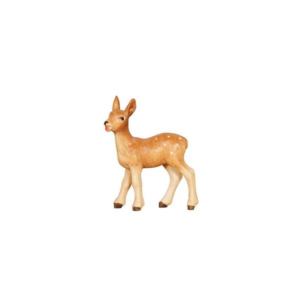 HE Fawn - colored