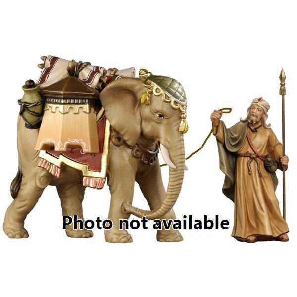 RA Driver with elephant with luggage - 