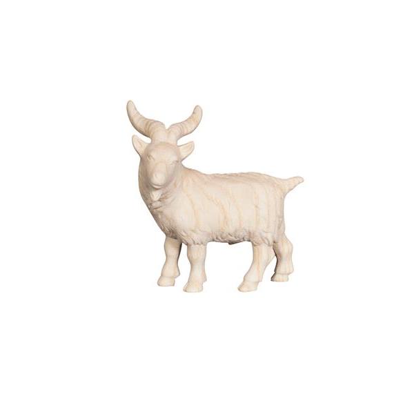 PE Billy goat - natural wood