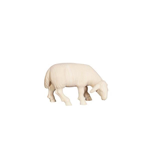 PE Sheep grazing looking right - natural wood