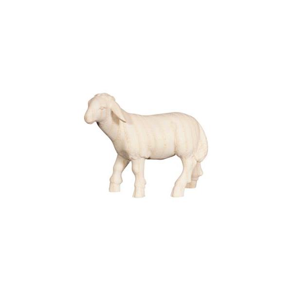 PE Sheep standing looking left  - natural wood