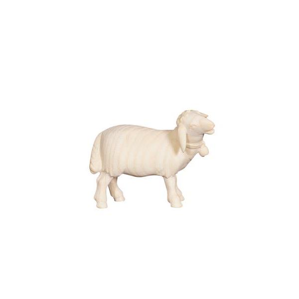 PE Sheep standing with bell looking right - natural wood