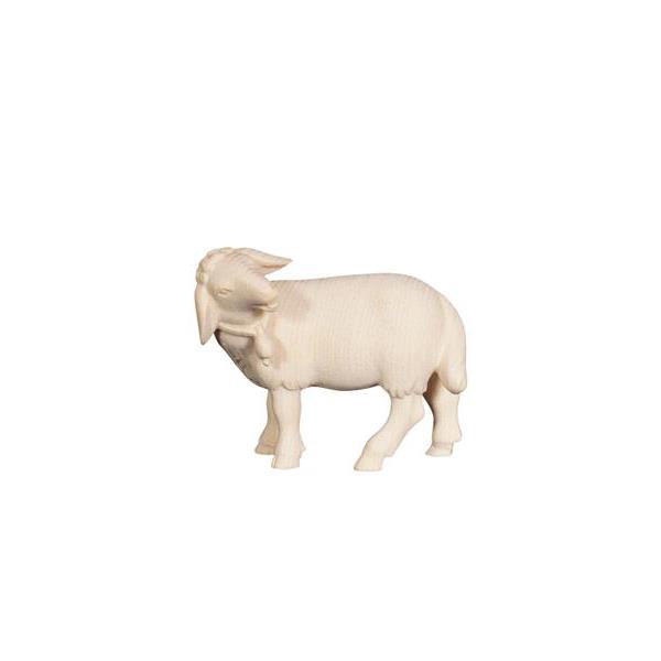PE Sheep standing with bell looking left - natural wood