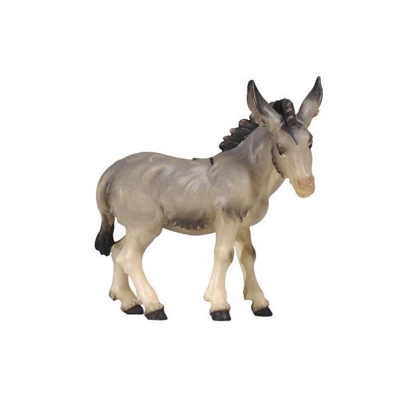 MA Donkey             - colored