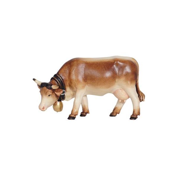 MA Cow grazing - colored