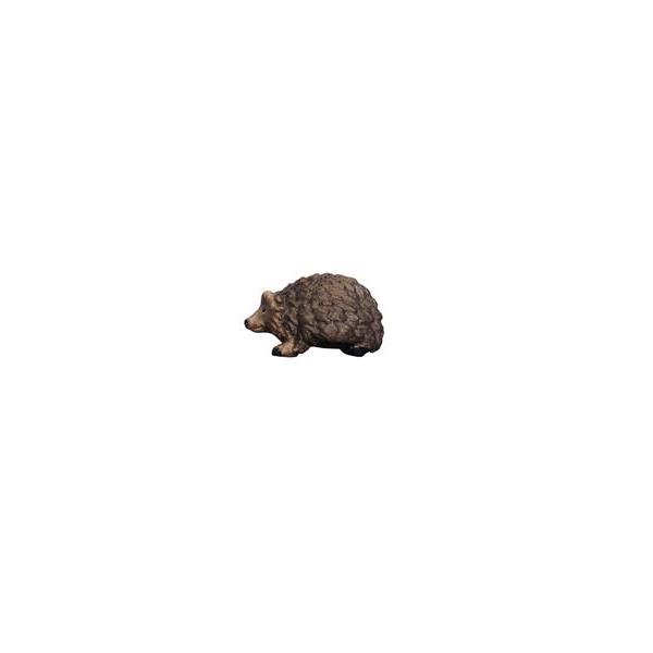 MA Hedgehog - colored