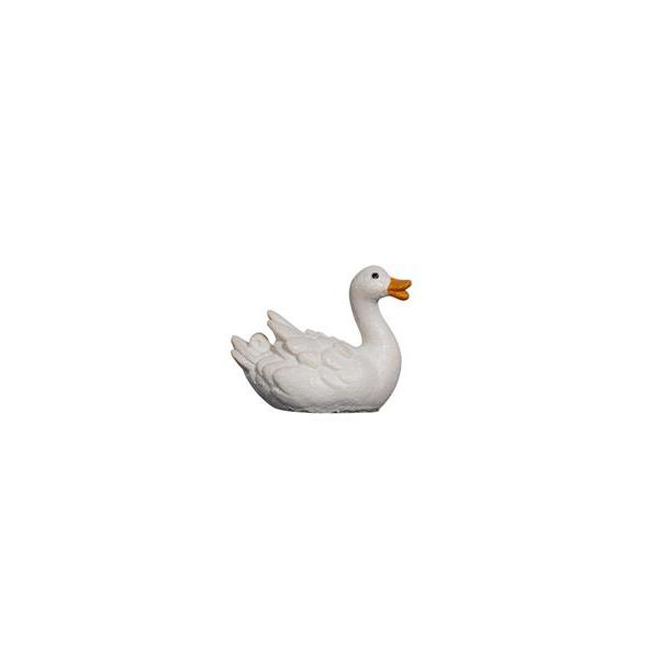 MA Duck swimming right - colored