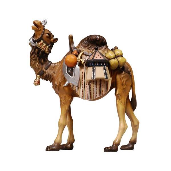 MA Camel with luggage - colored