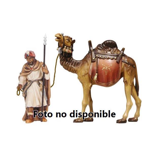 RA Camellero con camello - 