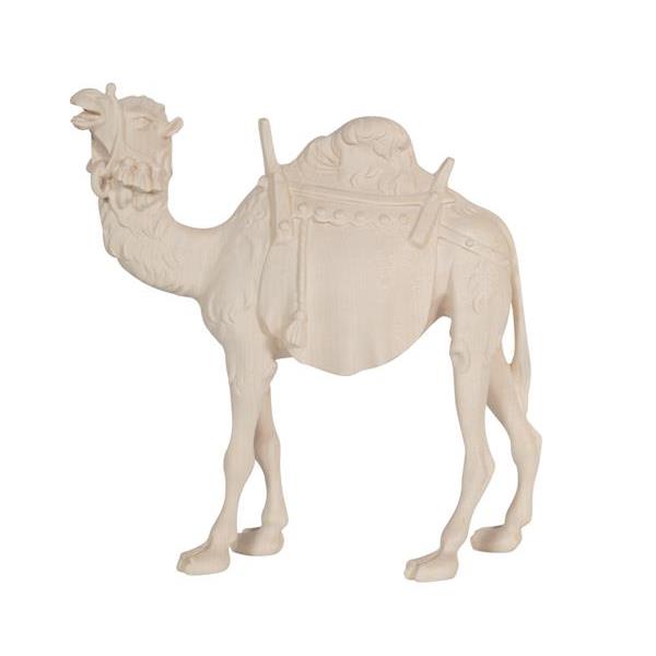 RA Camello - natural