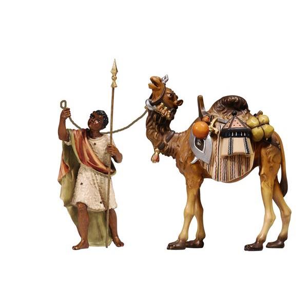 KO Camellero con camello con equipaje - coloreado
