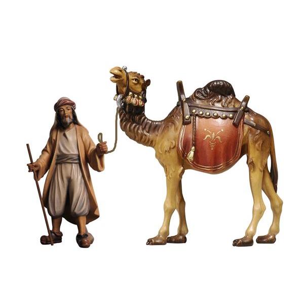 KO Pastor con camello - coloreado