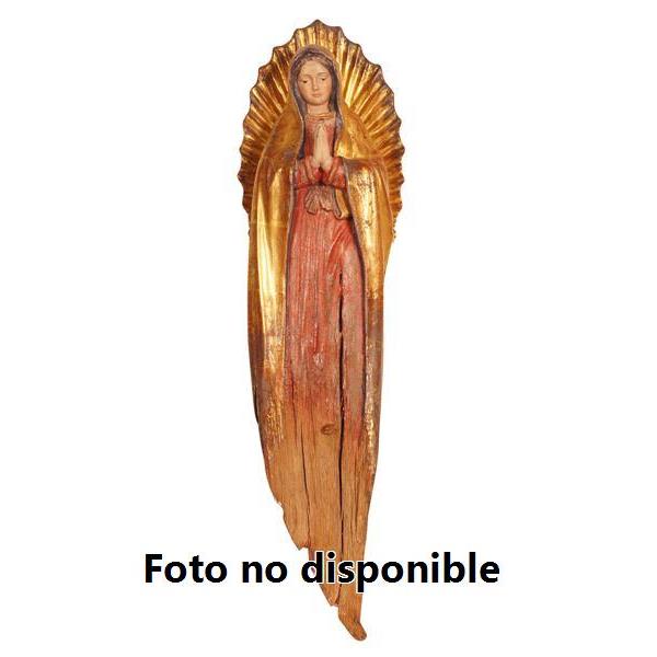 Virgen de Guadalupe + raíces - 