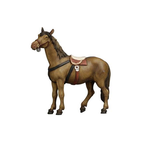 Cavallo - colorato